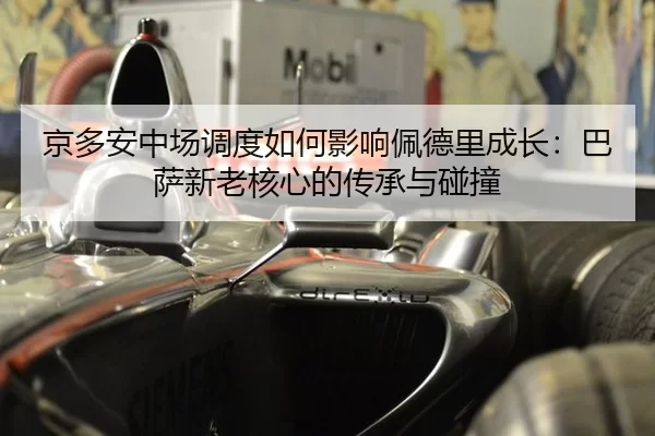 jing-duo-an-zhong-chang-diao-du-ru-he-ying-xiang-pei-de-li-cheng-zhang-ba-sa-xin-lao-he-xin-de-chuan-cheng-yu-peng-2-415.jpg
