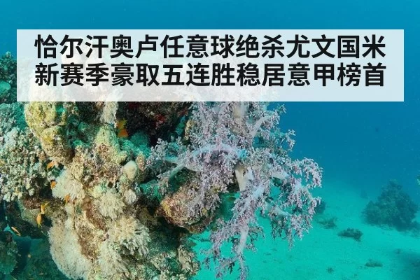 恰尔汗奥卢任意球绝杀尤文国米新赛季豪取五连胜稳居意甲榜首